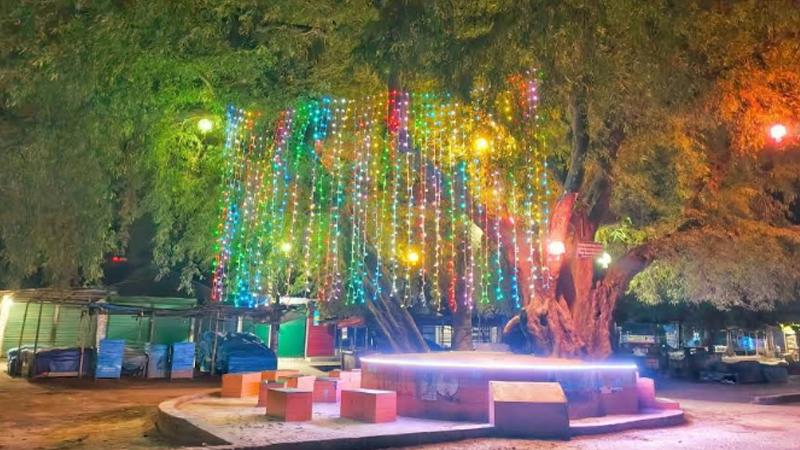 বর্ণিল সাজে তেঁতুলিয়ার শতবর্ষী ‘তেঁতুলতলা’, কাঞ্চনজঙ্ঘার টানে বাড়ছে পর্যটক